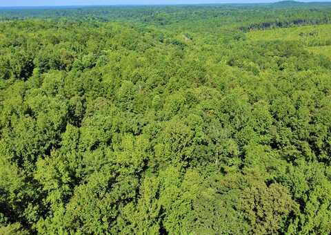 0001 evanstown rd, Berry, AL 35546
