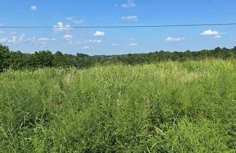 Tract #17 Statham Rd, Liberty, KY 42539