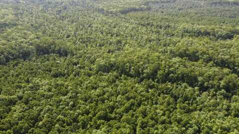 TBD Vicknair Road, Maurepas, LA 70449