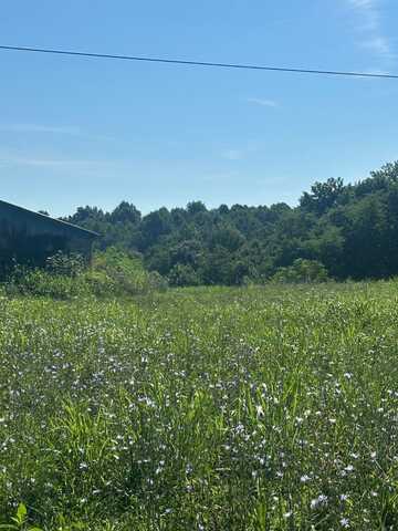 Tract #16 Statham Rd, Liberty, KY 42539