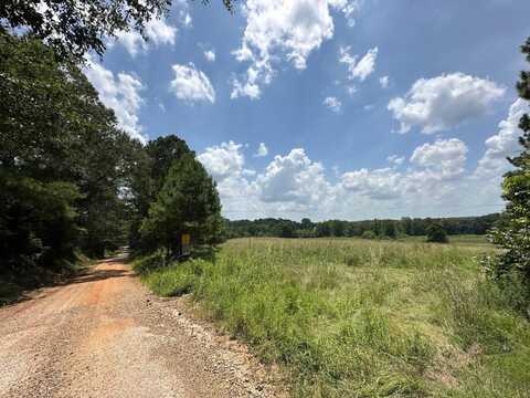 1 County Road 444, Philadelphia, MS 39350