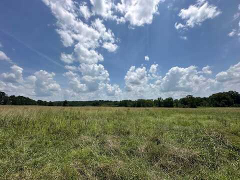 2 County Road 347, Philadelphia, MS 39350