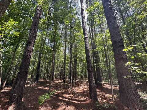 4 County Road 444, Philadelphia, MS 39350