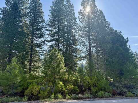 45 Frostwood Lane, Lake Almanor, CA 96137
