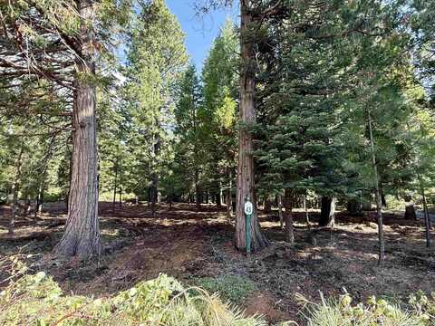 333 Cascade Fir Lane, Lake Almanor, CA 96137