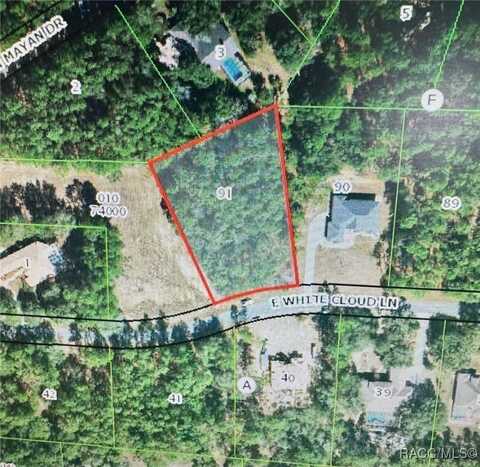 765 E Whitecloud Lane, Hernando, FL 34442