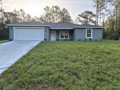 9729 N Paradisea Drive, Dunnellon, FL 34433