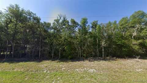 1258 E La Salle Street, Hernando, FL 34442
