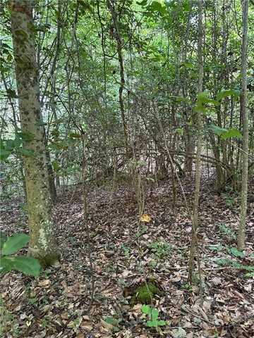 5.7ac Dutton Road, Gloucester, VA 23061