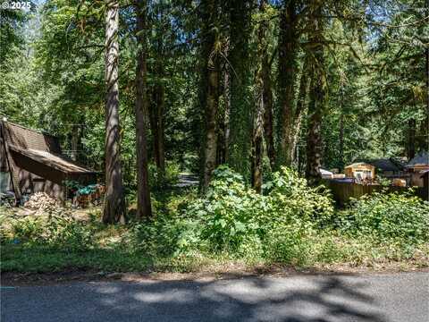 65065 E LUPINE DR, Rhododendron, OR 97049