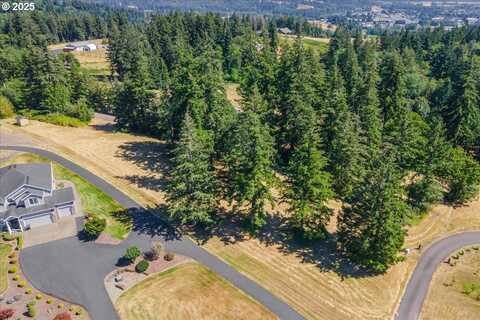 165 SATURN AVE, Woodland, WA 98674