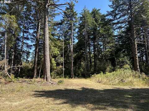 HWY 101, Port Orford, OR 97465