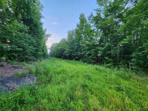 Schutt Rd, Burkeville, VA 23922