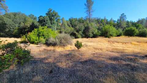 18135 Brincat Manor Road, Cottonwood, CA 96022