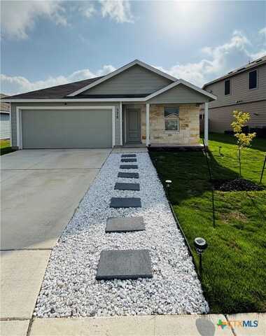 326 Butterfly Rose Drive, New Braunfels, TX 78130