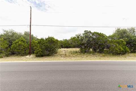 1344 Bellewood Lane, Canyon Lake, TX 78133