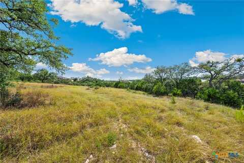 428 Cavy Road, New Braunfels, TX 78132