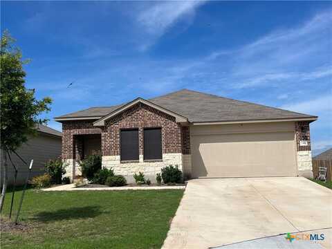 145 Atwood Loop, Jarrell, TX 76537