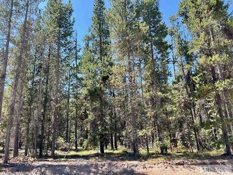 4389 Sasquatch Ave, Island Park, ID 83429