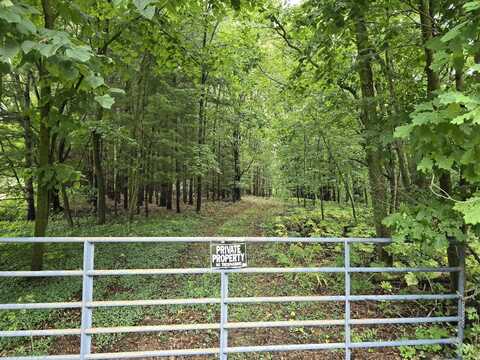vl Lehring Rd, Burns, MI 48429