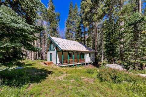 2010 Audrain Way, Echo Lake, CA 95721