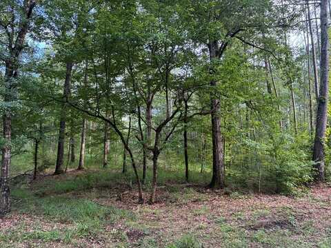 3352a Mound Rd NE, Wesson, MS 39191