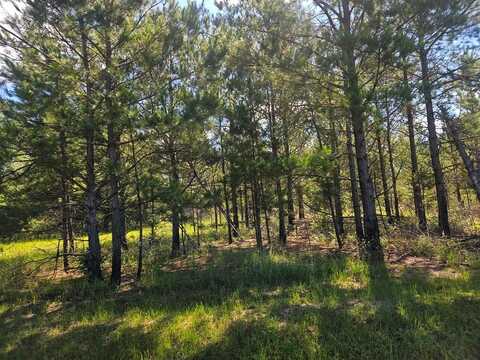 0 Highway 43, Columbia, MS 39429