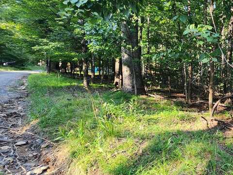 Lot 8 Apache Trail, Fancy Gap, VA 24328