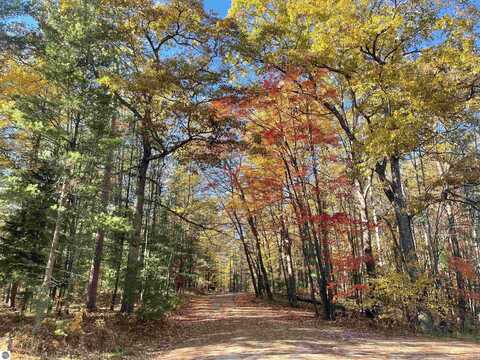 Lot 1 Dockery Road, Williamsburg, MI 49690