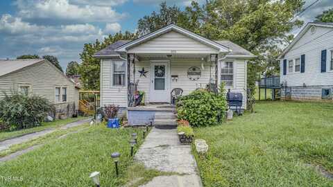 105 York Drive, Bristol, TN 37620