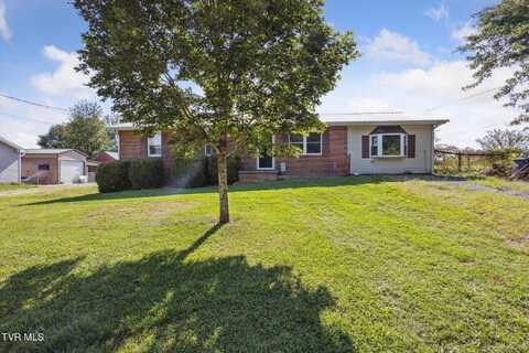 20 Crockett Timbers, Limestone, TN 37681