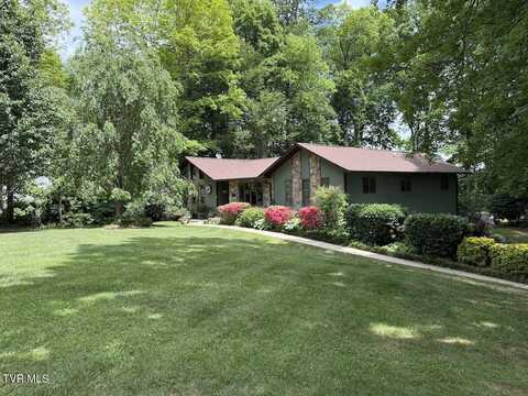 230 Picadilly Lane, Gray, TN 37615