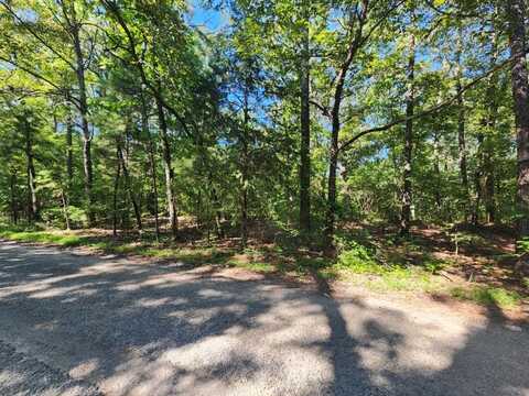 Conbanna S/D, BUCHANAN, TN 38221