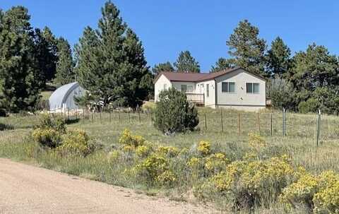 291 Junkins Lp, Westcliffe, CO 81252