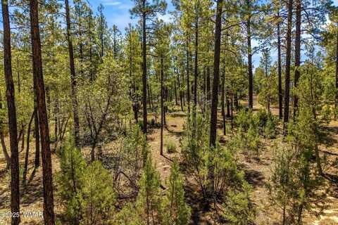 Tbd S Hart Lake Lane, Lakeside, AZ 85929