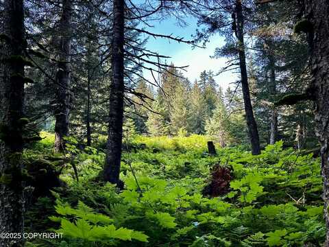 L2 B8 Nutbeem Road, Seldovia, AK 99663