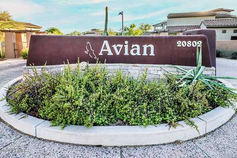 20802 N GRAYHAWK Drive, Scottsdale, AZ 85255