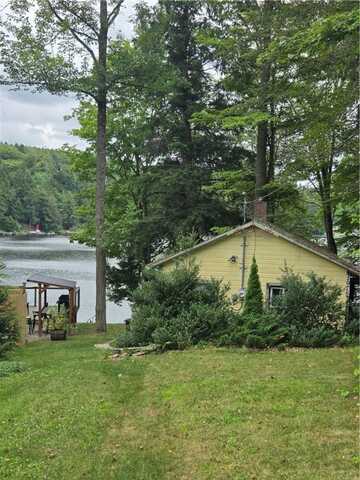 1976 W Shore Road, Howard, NY 14810
