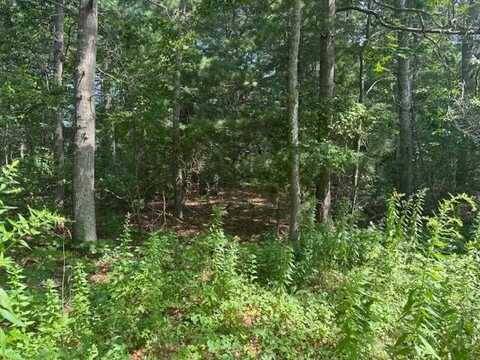 9 Estrella Lane, Teaticket, MA 02536