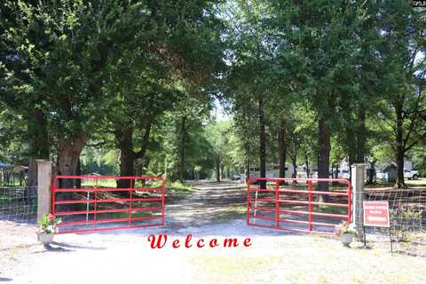 301 Ernest Johnson Road, Wagener, SC 29164