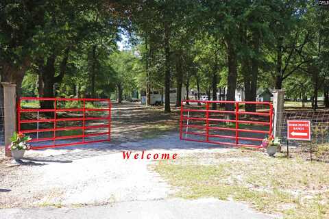 301 Ernest Johnson Road, Wagener, SC 29164
