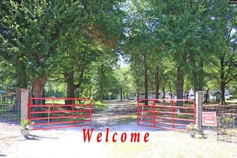 301 Ernest Johnson Road, Wagener, SC 29164