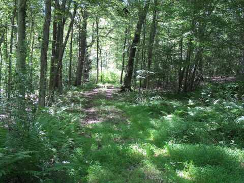42 Lake Road, Bozrah, CT 06334