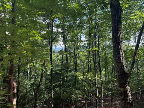 Tbd Roach Cove Rd, Hayesville, NC 28904