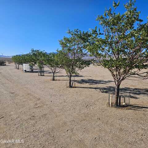 3410 W 170th Street, Rosamond, CA 93560