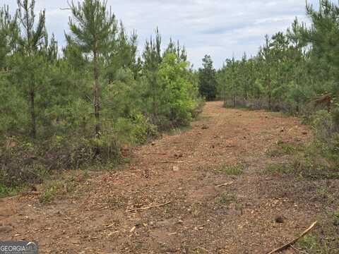 12 Marvin Murphy Road, Ellaville, GA 31806