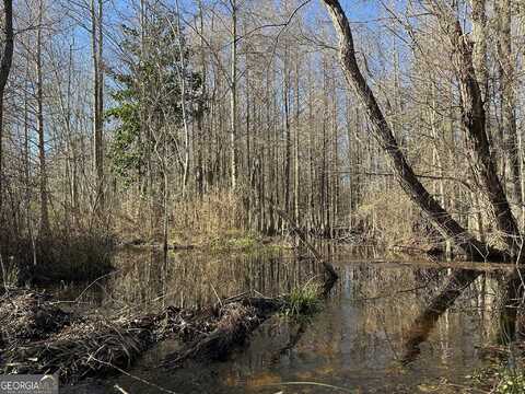 011 Mt Zion, Gordon, AL 36343