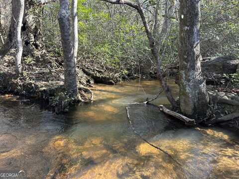 69 Mt Sinai Church, Butler, GA 31006