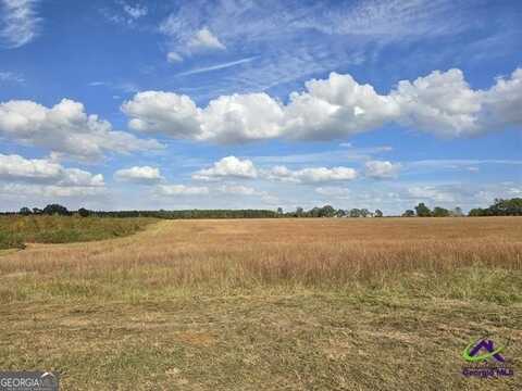12 Hay Field Rd, Cochran, GA 31014