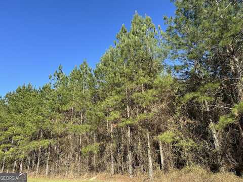 0028 Mt Zion, Gordon, AL 36343